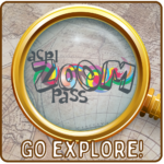 Zoom-Passes--150x150