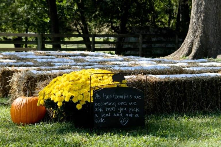 Farm-wedding3-768x511