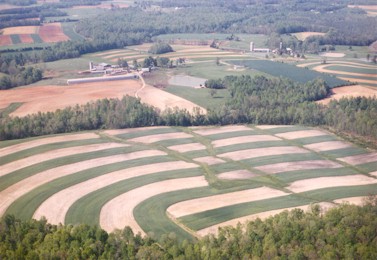 RTEmagicC_dixonfarmresized